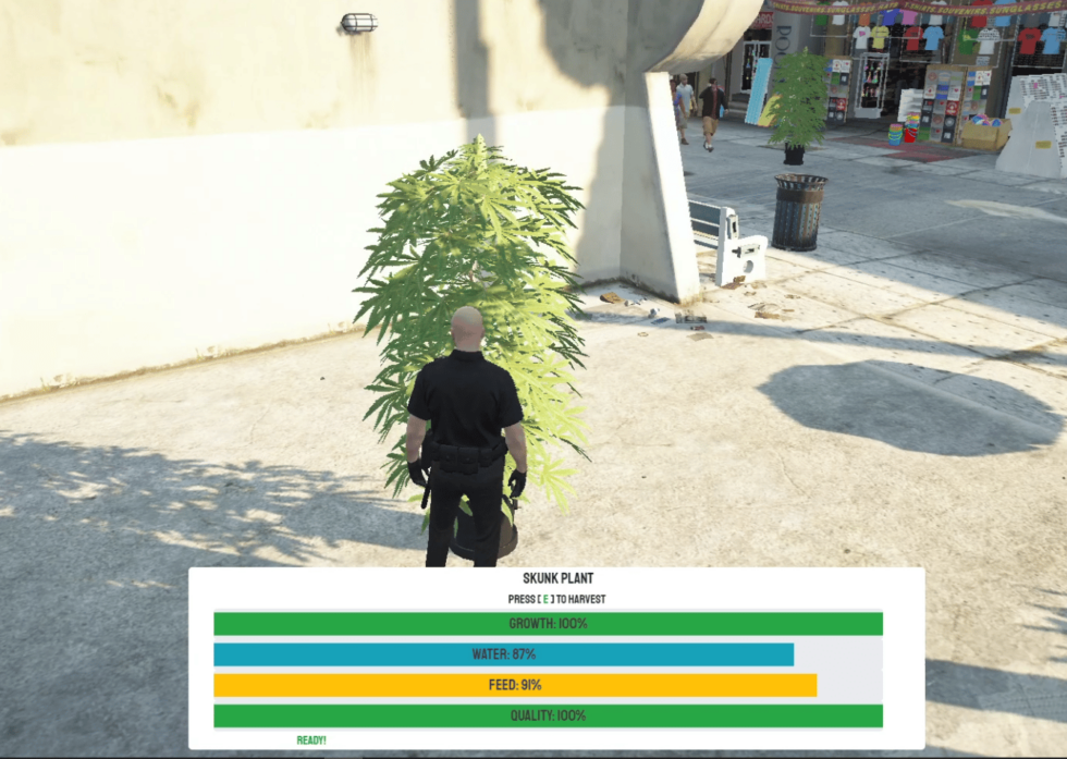 qb-weed with growing UI